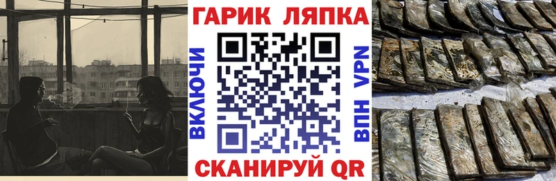 ГАШ Premium  Купить где  Гремячинск 