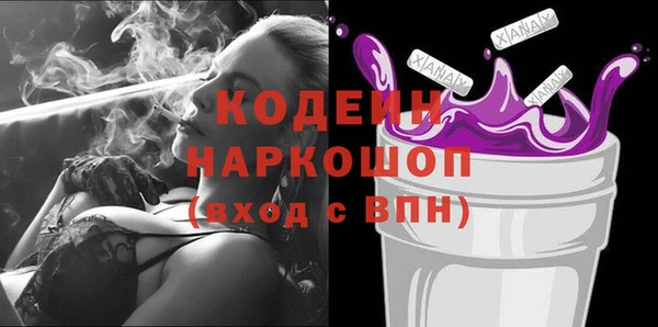 2c-b Инсар