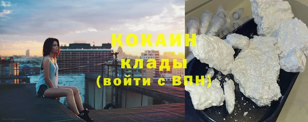 2c-b Инсар