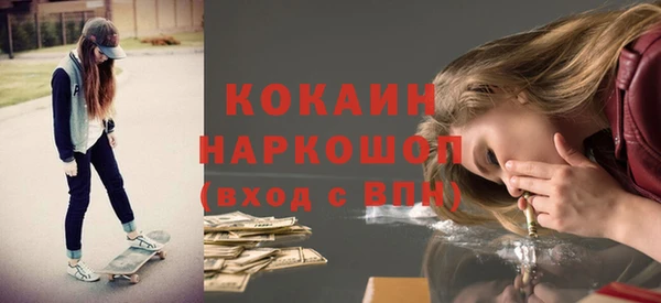 2c-b Инсар