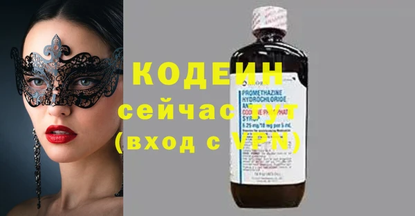 2c-b Инсар