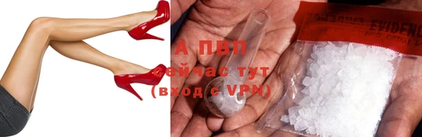 2c-b Инсар